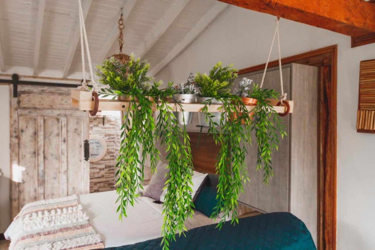 Glamping Cabanas Sharmont Гуарне Экстерьер фото